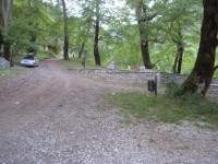IMG_2217.JPG
