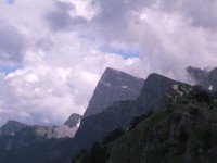 TYMFI-080032.JPG