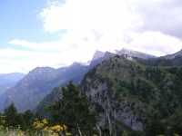 TYMFI-080033.JPG