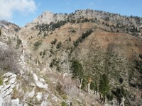 Η ΣΤΑΝΗ ΤΗΣ ΜΕΡΣΑΣ ΑΠΟ ΤΟ ΜΟΝΟΠΑΤΙ ΠΡΟΣ ΒΛΑΧΟΠΟΥΛΑ.jpg