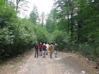 2α IMG_0962.JPG