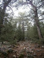 4. Ξεκίνημα.JPG