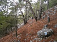 10. η κλίση αυξάνει λίγο.JPG