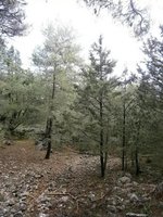 20. Παρά την σηματοδότηση μπορεί να το χάσεις.JPG