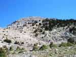 ΑΡΤΕΜΙΣΙΟ 1772m (16).JPG