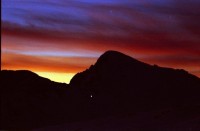10259.JPG