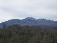 IMG.jpg