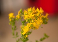 IMG_3689.jpg