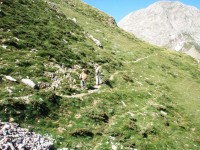 ERIMANTHOS SOTA 03.JPG