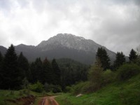 DSCN1837.jpg