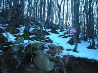 DSCN3514.JPG
