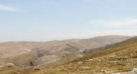 DSC00451.JPG