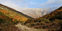 DSC00771.JPG