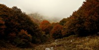 DSC00808.JPG