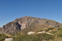 DSC_0136.jpg