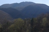2014-03-30.jpg