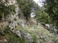 12.Κατηφόρα.JPG