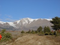 DSC00003.jpg