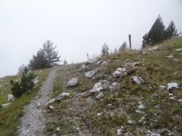 DSC01157.JPG