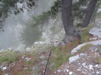 DSC01161.jpg