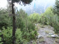 DSC01168.JPG