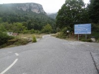 DSC01203.JPG