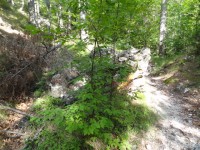 DSC00892.JPG