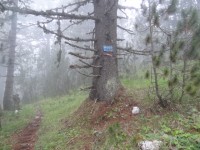 DSC00898.JPG