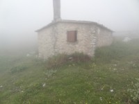 DSC00900.JPG