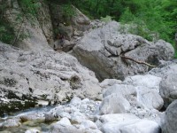 Image00002.jpg