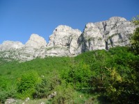 Image00007.jpg