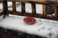 PASXA_OMALOS_090415.jpg