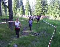 PIC_5482b.jpg
